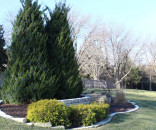 dgl cropped comp